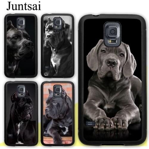 Italian Cane Corso Mastiff Dogs Case For Samsung Galaxy A51 A71 A31 A21S A20e A50 A70 M31 M21 S9 S10 S20 Plus Note 20 Ultra