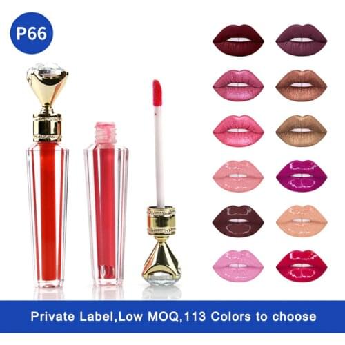 Professional Lip Gloss Vendor Custom Private Label Waterproof Long Lasting Liquid Lipstick Shiny Clear Lipgloss Makeup Cosmetics