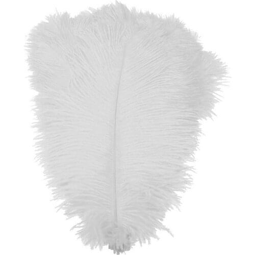 30-35cm ostrich feather multicolor feather stage decoration ostrich props performance decoration feather D5R6