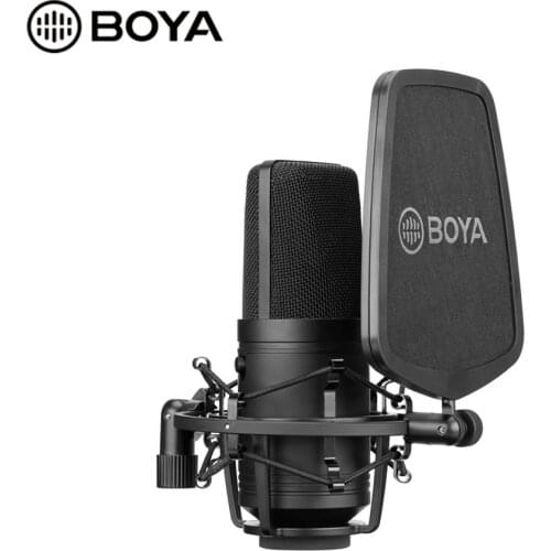 BOYA BY-M800 Large Diaphragm Microphone Low-cut Filter Cardioid Condenser Mic for Studio Broadcast Live Vlog Video Recording Mic