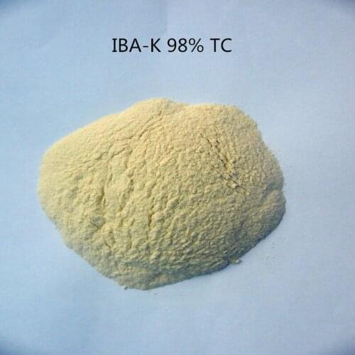 100grams indole-3-butyric acid potassium IBA-K water soluble 3-Indolebutyric Acid potassium 98% IBA Salt root growth hormone