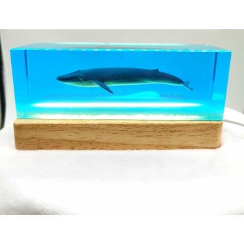 Cultural And Creative Resin Marine Life Great Blue Whale Ornaments Car Decorations Home Birthday Gifts
