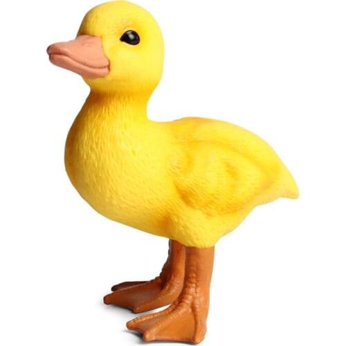 Duck Animal Figure Collectible Toys Farm Animal Cognition Action Figures Kids Simulation Animal Toys