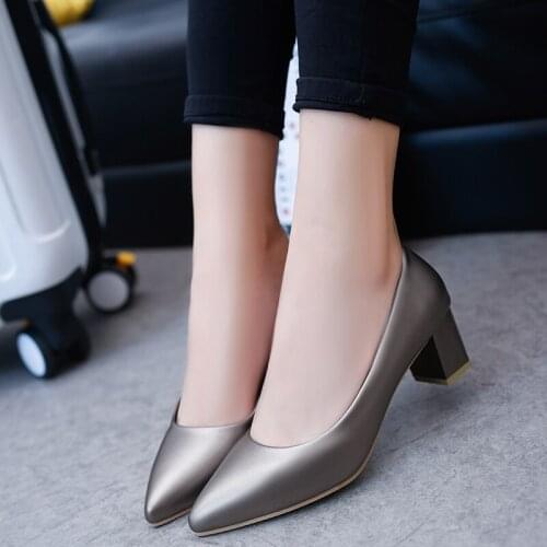Spring New Womens Single Shoes Korean Fashion Wild Work Shoes Shallow Mouth Pointed Toe Black High Heels 5 Cm Square Heel Pumps