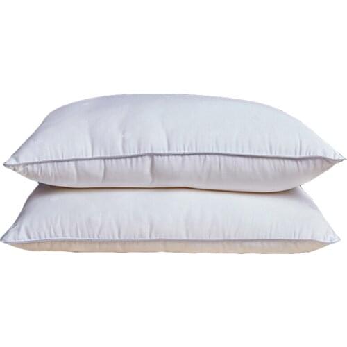 Mulberry Silk Bedding Pillows For Sleeping 48*74cm Natural Silk Filling Jacquard Anti Mite Soft Health Care Hotel Neck Pillows