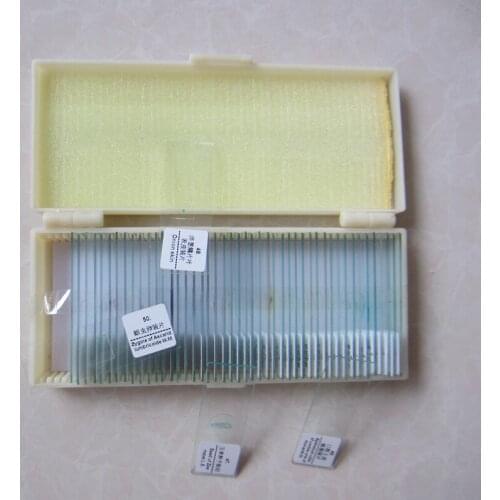 50PCS Glass Educational Various Professional Optical Biological Microscope Slides Children Students Science Prepared Specimen