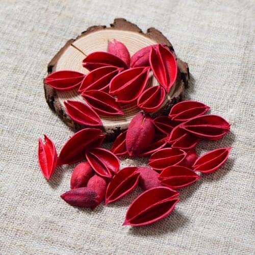 50pcs/lot,Natural plant shell Dried flower,DIY Gift box for Wedding Party HomeDecoration accessories,eternal flower material