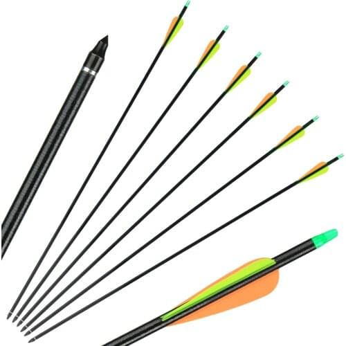 6Pcs Fiberglass Arrow 31inch Spine 600 OD 8mm With Changeable Nock/Arrowhead For Compound / Recurve Bow Hunting Shooting