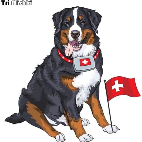 Tri Mishki WCS123 15*15cm happy bernese mountain dog with a first aid kit car sticker auto automobile decals car stickers
