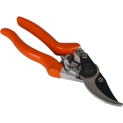 Chattel Ligature Scissors