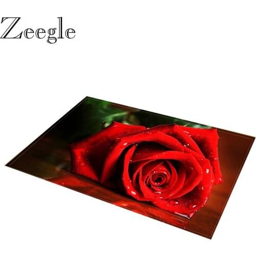 Zeegle Floor Mat Doormat Absorbent Outdoor Mat Indoor Carpet Anti-slip Bathroom Rug Kitchen Carpet Washable Hallway Rug Foot Mat