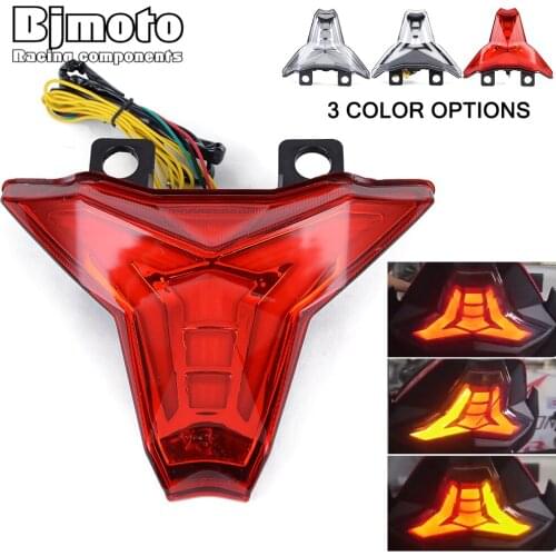 Motorcycle Taillight LED Brake Rear Stop Light For Kawasaki Z1000 Ninja ZX10R/ZX10RR Ninja250 Ninja400 Turn Signal Lamp