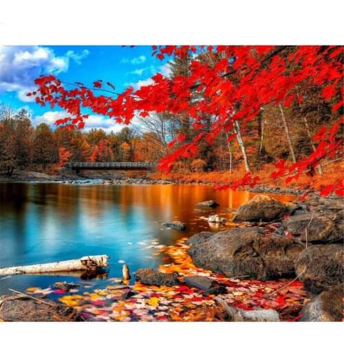 Paint by Numbers Kits for Adults DIY 40CM*50CM ALI_V1_102