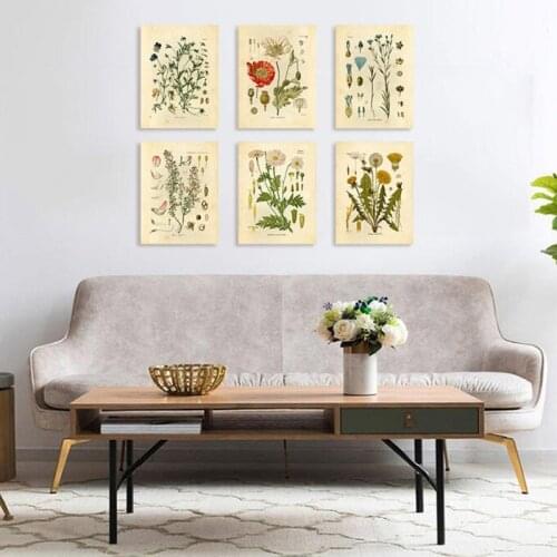 Vintage Wild Plant Poster Botanical Flower Study Living Room Hanging Painting Peony Picture Aesthetic Room Decor Canvas Paintng