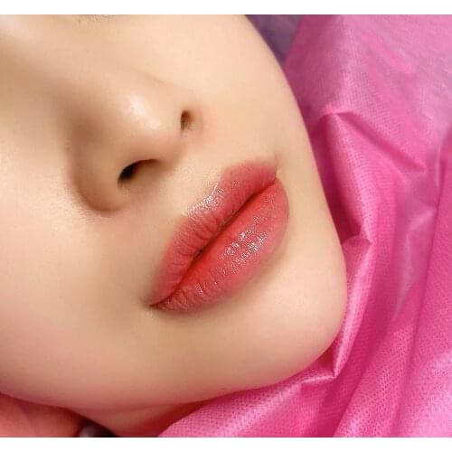 Mastor Original Pure Plant Lip Permanent Makeup Pigment Eyebrow Microblading Eyeliner Scalp Tattoo Ink