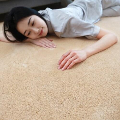 Thick Carpet for Living Room Long Plush Carpet Kid Room Fluffy Floor Carpets Bedroom Window Bedside Home Decor Rugs Soft Velvet