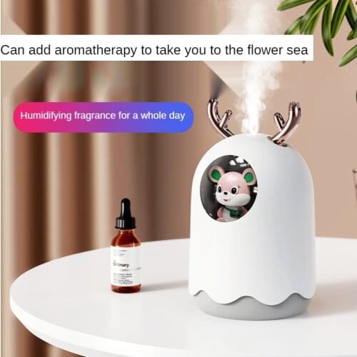 300ml Usb Mini Humidifier Desktop Mute Car Office Moisturizing Mute Nano Fine Mist Large Capacity Humidifier Car Interior