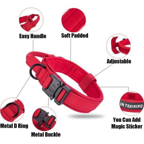 Thick Nylon Pet Dog Collar Comfortable Pet Outdoor Training Adjustable Quick Released Collar For Small Medium Large Dogs