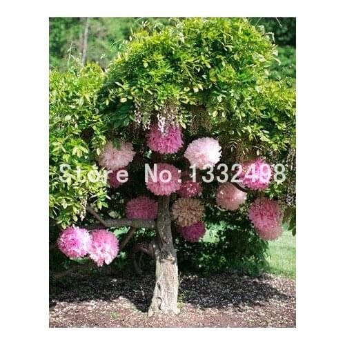 150 Pcs 18'' 45cm Paper Flower Tissue Paper Pom Poms decorative flowers wedding car decor Party Home Birthday Party Decoration