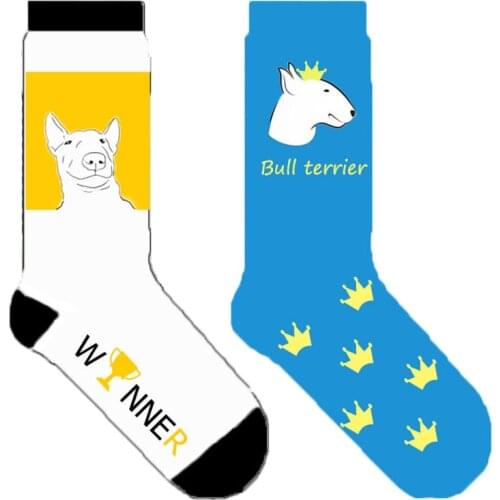 Women trophy bull terrier socks winner dog crew socks fun novelty socks with crown 50 pairs/lot