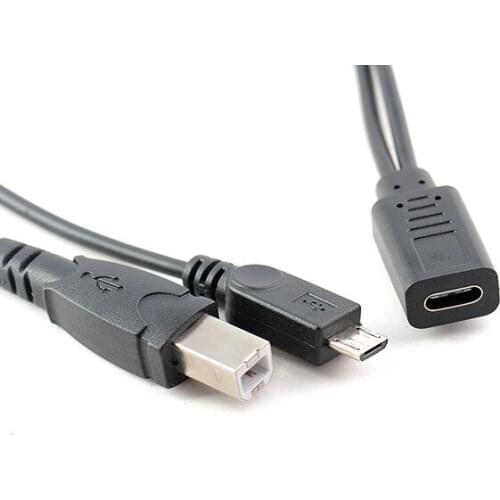 USB-C 3.1 Type C Female to Micro & USB 2.0 B Male Data Charge HDD Printer Cable 30cm