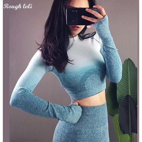 Rough Loli Ombre Seamless Long Sleeve Crop Top Shirts Workout Tops for Women Yoga Gym Shirt Athletic Fitted T Shirt Sports Top