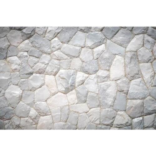 Irregular Brick Wall Photo Background Computer Printed Backdrop for Pets Portrait Children Baby Toy Photocall Photography Props