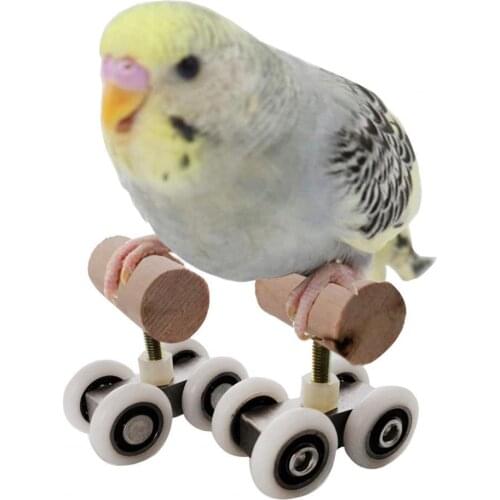 2pcs Parrot Trick Tabletop Mini Roller Ice Skates for Small Medium Parrots Bird Intelligence Training Toy for Parrots Birds