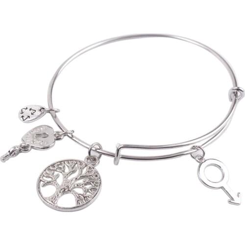 5PCS Fashion Silver Color Tone Male Logo Charm Expandable Wire Bangles #91312