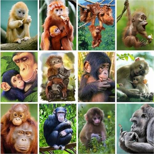 5d Diamond Embroidery Sale Animals Full Square/Round Drill Mosaic Diamond Painting Monkey Cross Stitch Kit Home Decoration