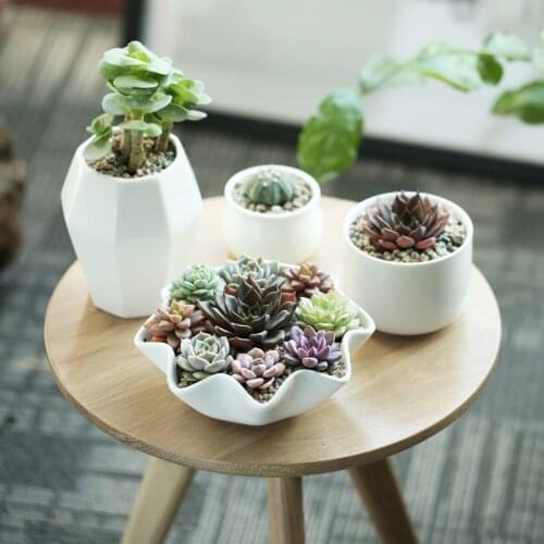 Garden supplies office home desktop garden flowers pots planters white ceramic modern simple styles decorative green plant potss