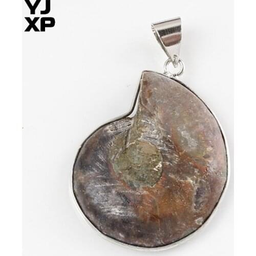 YJXP Silver Plated Unique Natural Stone Ammonite Seashell Snail Pendants Ocean Reliquiae Conch Animal Jewelry