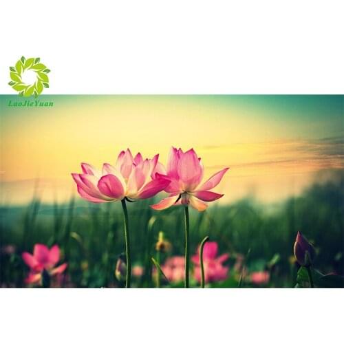 Full Drill Diamond Painting DIY lotus Rhinestone Mosaic Text Diamond Embroidery Wall Home Decoration Gift DropShipping