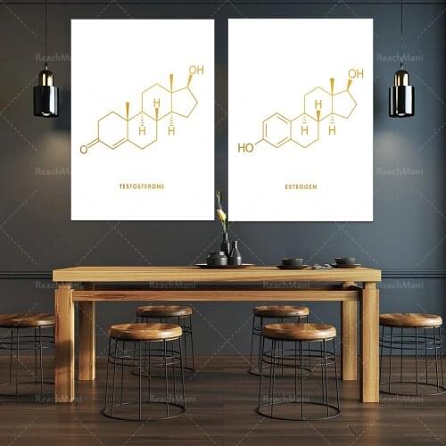 Estrogen Molecular Tablet Print Set 2-Endocrine Molecular Wall Art-Nursing Student Home Decoration-Medical Art Poster