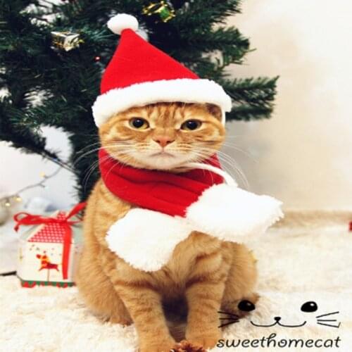 Christmas Cat Clothes Cape Cloak Headband For Cats Costume New Year Outfit Pet Cat Clothes For Chihuahua Winter Warm Pet Clothes