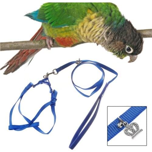 Bird Parrot Leash Pet Harness Outdoor Adjustable Anti Bite Training Rope Flying Band Leashes Birds Supplies Blue/Red C42