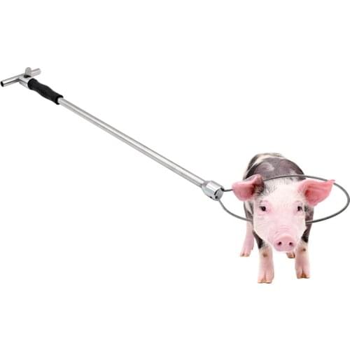 T Type Stainless Steel Pig device Baording fixed Farm Livestock Full metal Long distance Baording animal husbandry equipment