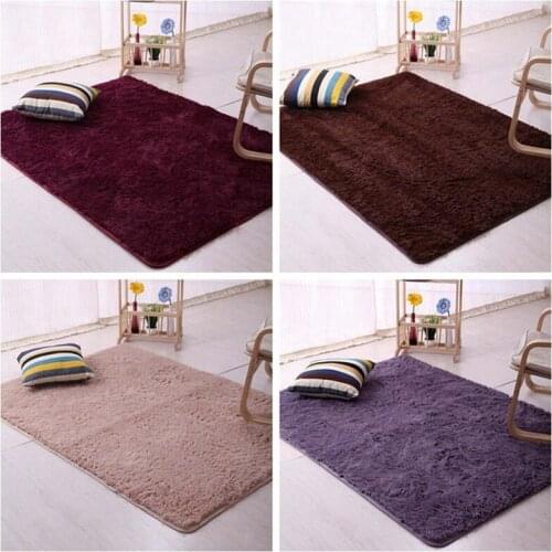 Thickened Washed Silk Hair Non-slip Carpet Living Room Coffee Table Blanket Bedroom Bedside Mat Sofa Rugs Plush Door Mat 40*60cm