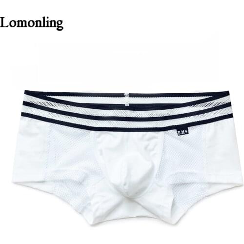 Mens Underwear Sexy Mens Boxer Pants Mesh Perspective Sports Breathable Tide Youth Sports Summer Boxers Low Waist