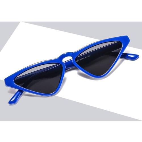 Cat Eye Women Men Sunglasses Gray Tan Lens UV400 Eye Protection Girl Sexy Ladies Outdoor Eyewear