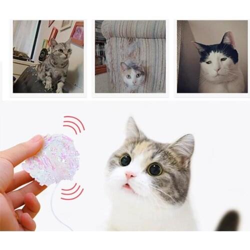 Legendog 1pc Cat Crinkle Ball Toy Plastic Crinkle Pet Ball Cat Ball Toy With Ring Cat Interactive Toys Pet Supplies Cat Favors