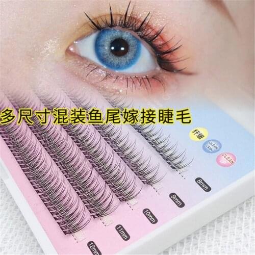 1box False Eyelashes Five Rows Mixed 8/9/10/11/12mm Grafted Single Cluster Segmented Fishtail False Eyelashes Lash Extensions