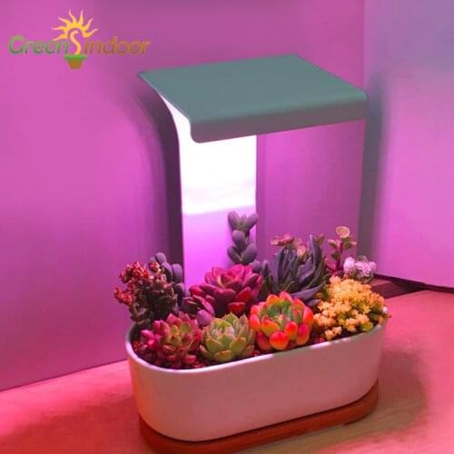 Indoor USB LED Grow Light Timer Phyto Lamp For Plants Succulent Full Spectrum Lights For Flowers Cactus IR VU Light Desk Lamp