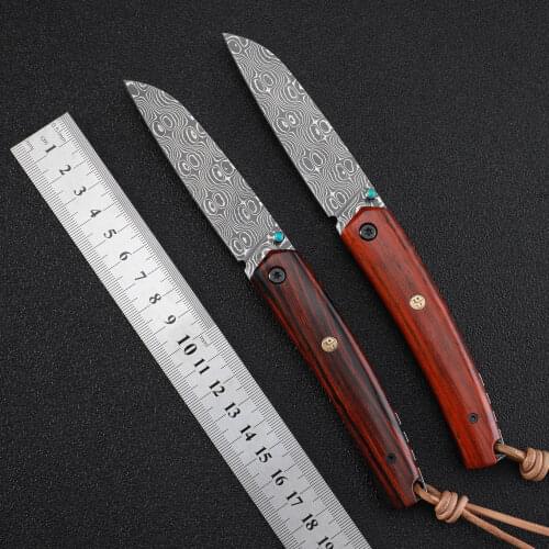 Petrified fish 719DM 110 Layer Damascus steel Ball bearing folding knife wooden handle camping edc pocket tools hunting knives