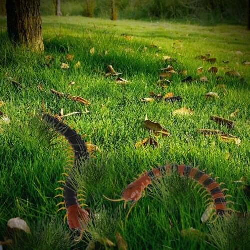 Remote Control Animal Centipede Creepy-crawly Prank Funny Toys Gift For Kids