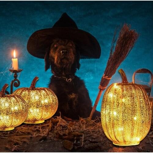 Luminous Pumpkin Lamp Light Up Glass Pumpkin With Timer Halloween Decorations Thanksgiving Autumn Harvest Decorative Pumpkins