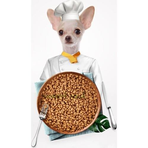 Chihuahua dog special food Adult puppies, dog food Beef-flavored milk cake Small particles Natural ingredients 500g