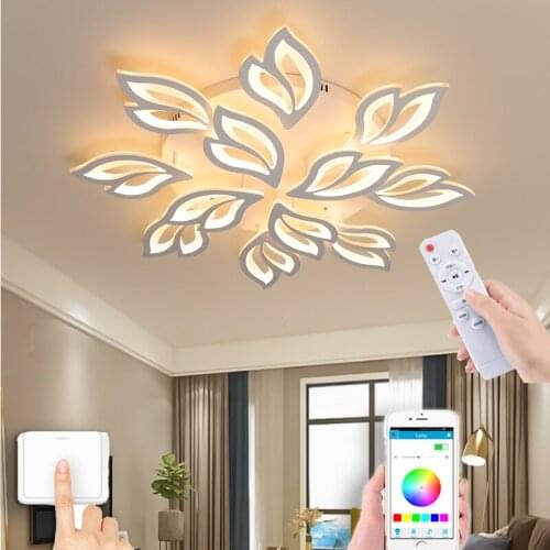Indoor LED ceiling light Nordic modern smart remote control simple chandelier surface decoration living room bedroom hotel