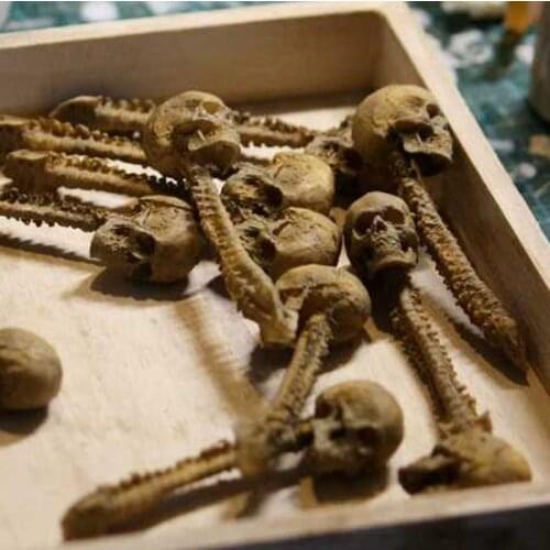 1pcs 1/12 Scale Human Skeleton Vertebra Model Handmade Skull Spine Toys for 6in Action Figure Scene Accessories Collection 7cm