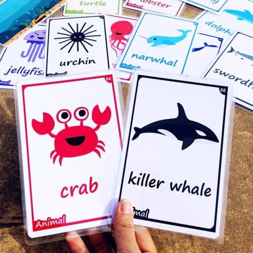 35pcs Animal Flash Cards For Children Ocean + Insects English Learning Cards Early Education Cognitive Toys Memory Game